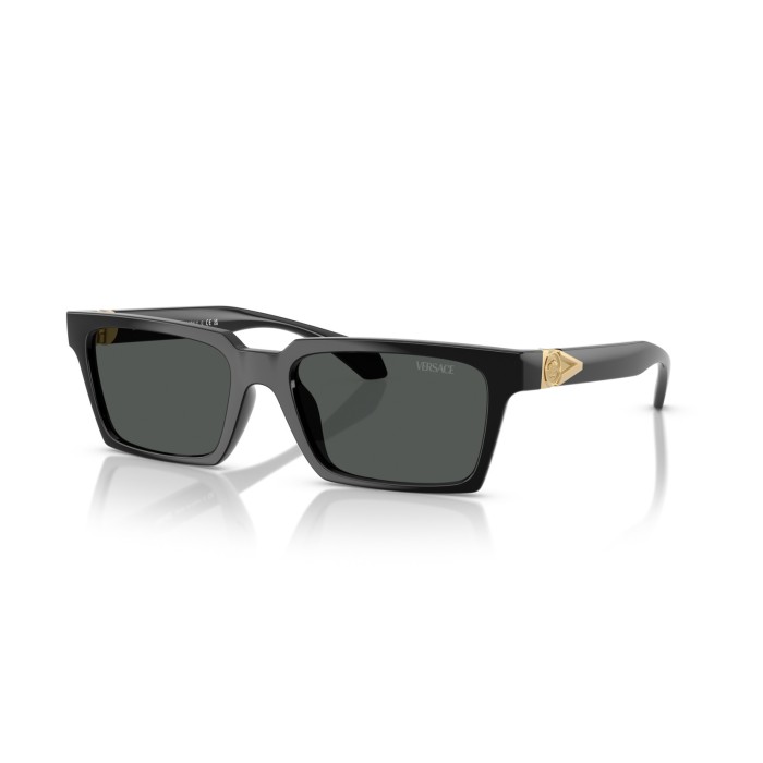 VERSACE VE4490U GB1/87
