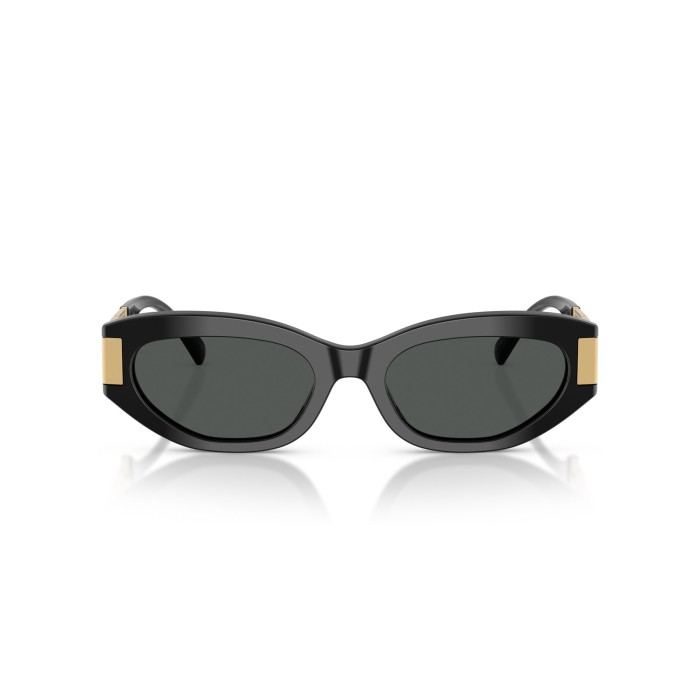 VERSACE VE4501 GB187