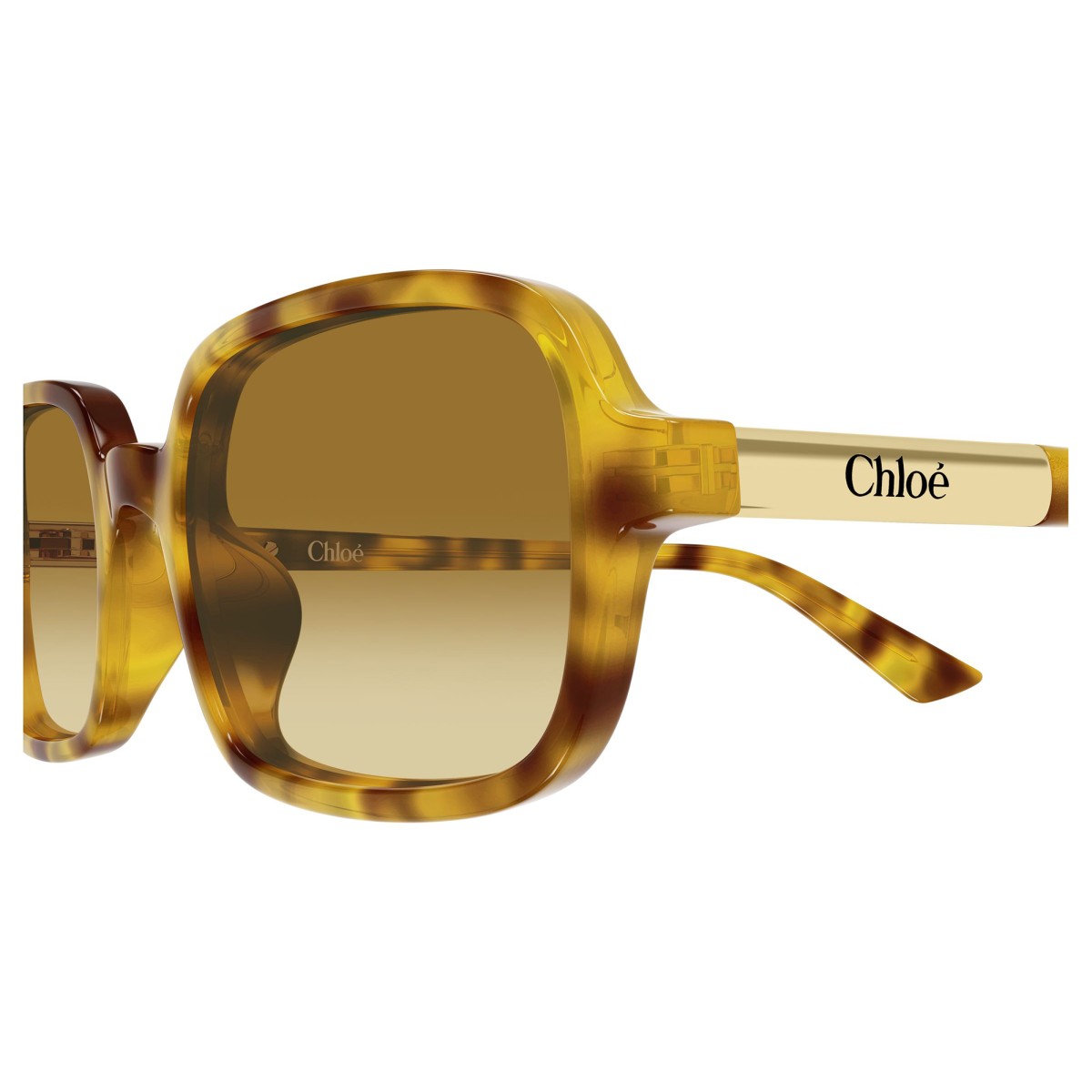 CHLOE CH0363S 004 | Sunglasses | Vytria Eyewear