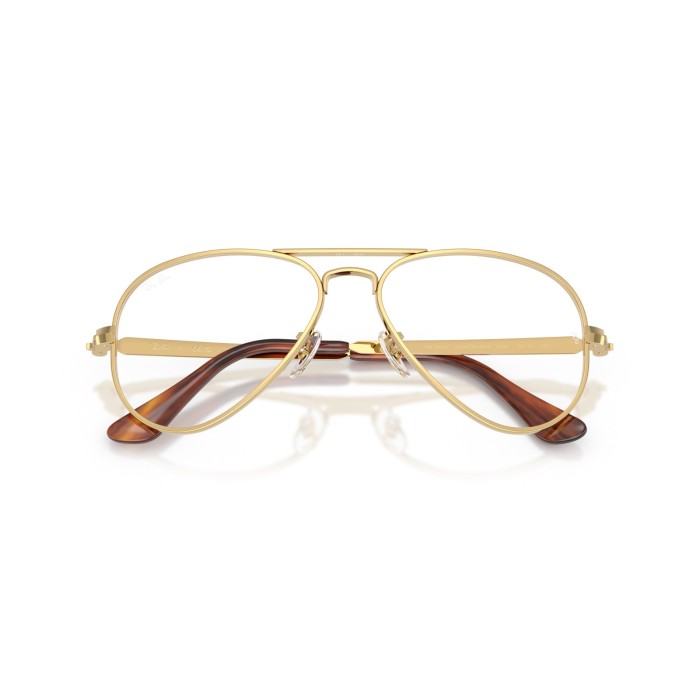 RAY BAN RB3925V 2500