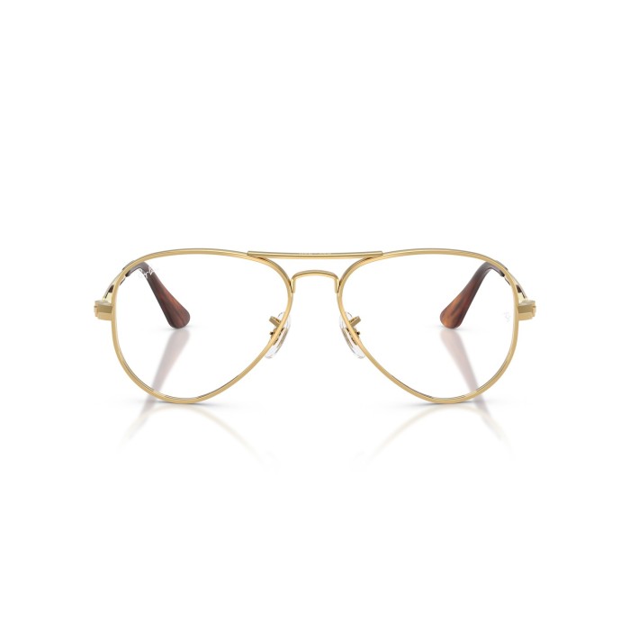 RAY BAN RB3925V 2500