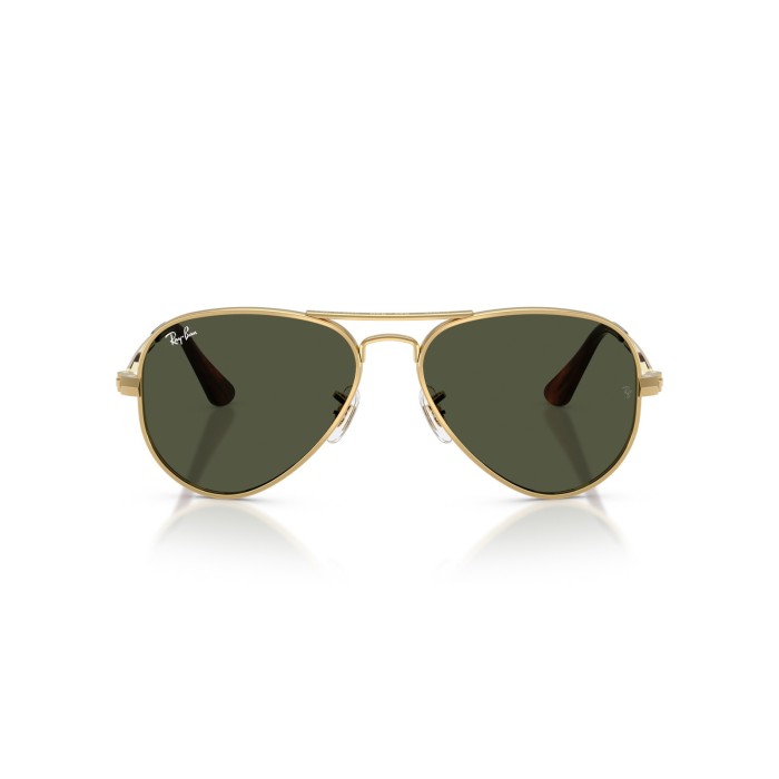 RAY BAN RB3925 00131