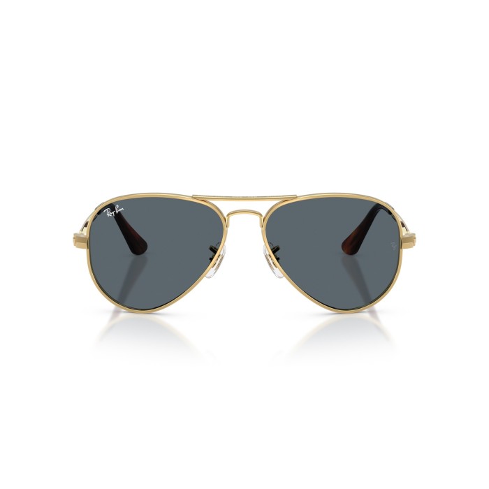 RAY BAN RB3925 001R5