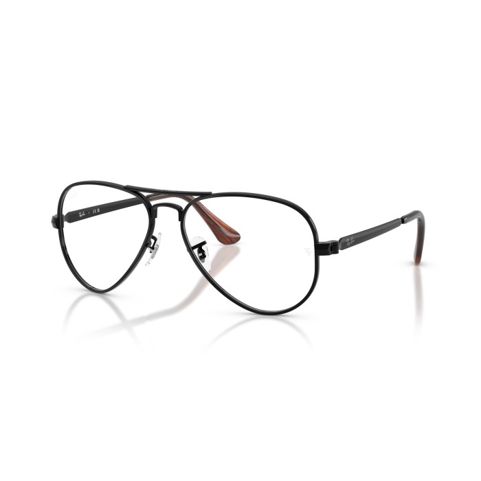 RAY BAN RB3925V 2509