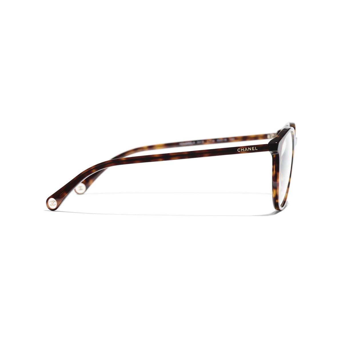 Gafas para graduar pantos | Monturas | Vytria Eyewear