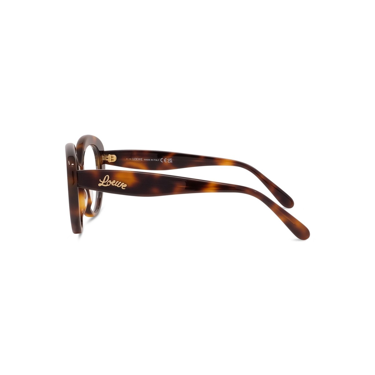 Curvy | Monturas | Vytria Eyewear