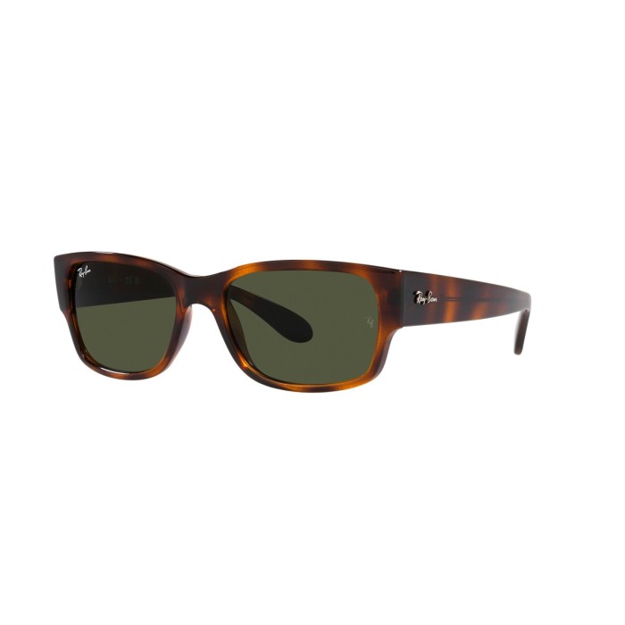 Ray-Ban RB4388 60131 Sunglasses