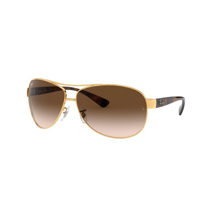 Ray Ban Active Lifestyle RB3386 00113
