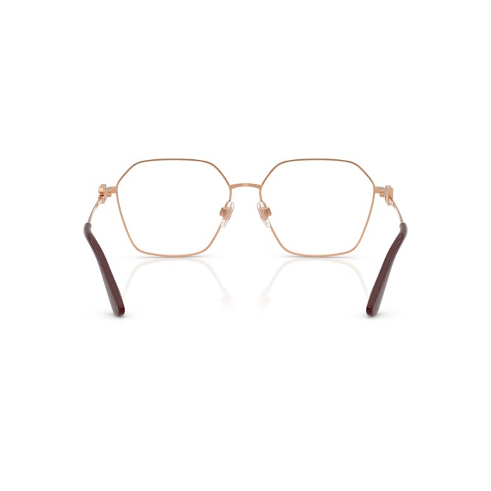 DOLCE GABBANA DG1366 1351