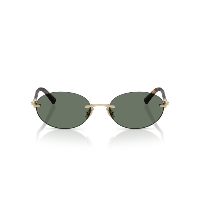TIFFANY & CO. TF3104D 623882