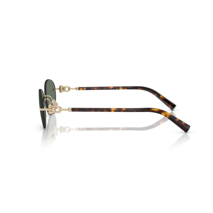 TIFFANY & CO. TF3104D 623882
