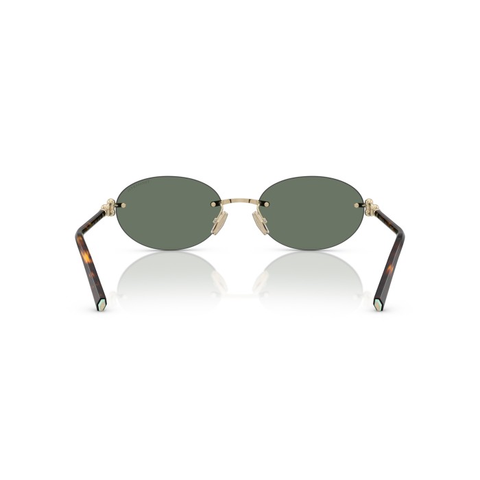 TIFFANY & CO. TF3104D 623882