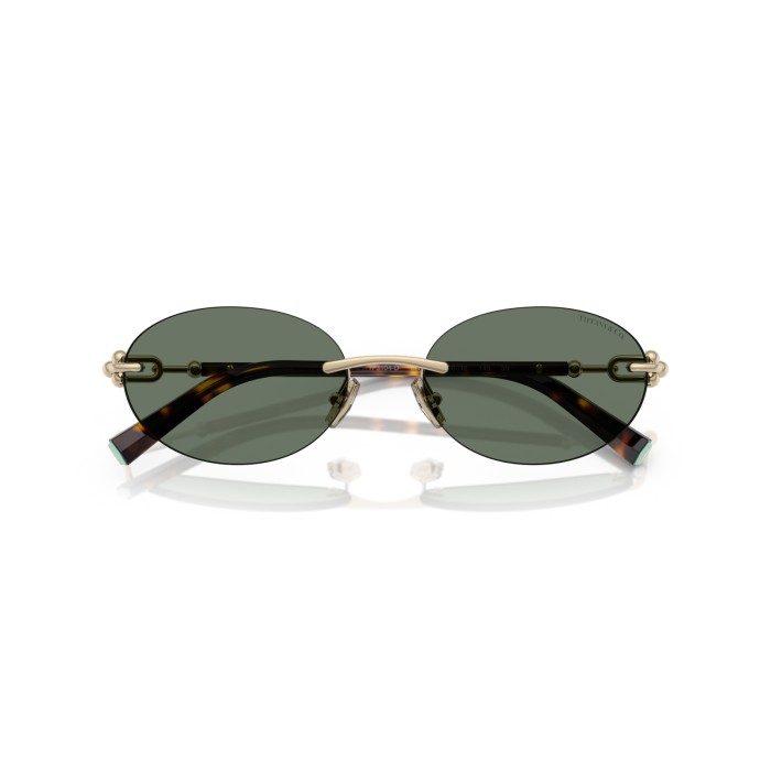 TIFFANY & CO. TF3104D 623882