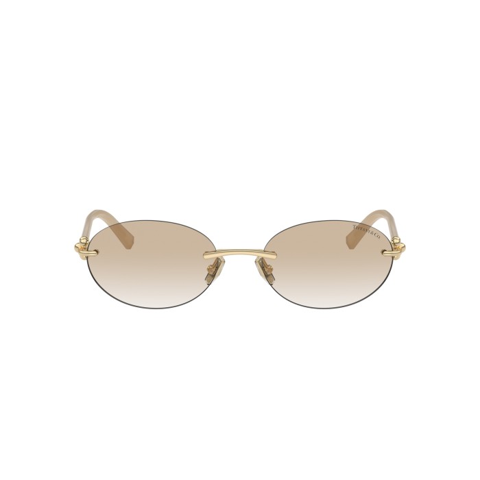 TIFFANY & CO. TF3104D 617811