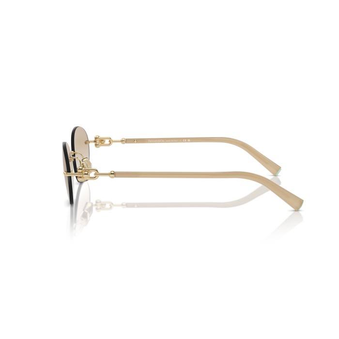 TIFFANY & CO. TF3104D 617811