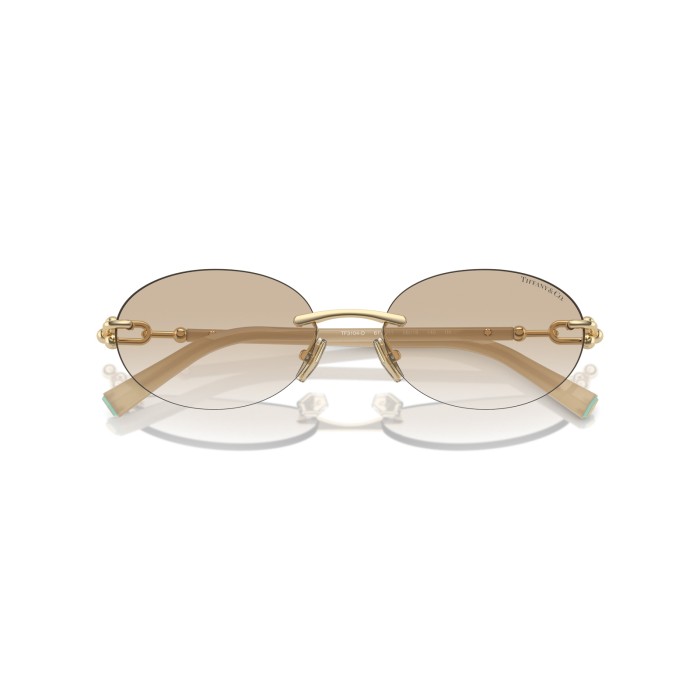 TIFFANY & CO. TF3104D 617811