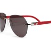 Cartier CT0007CS 057 | Men Sunglasses | Vytria Eyewear