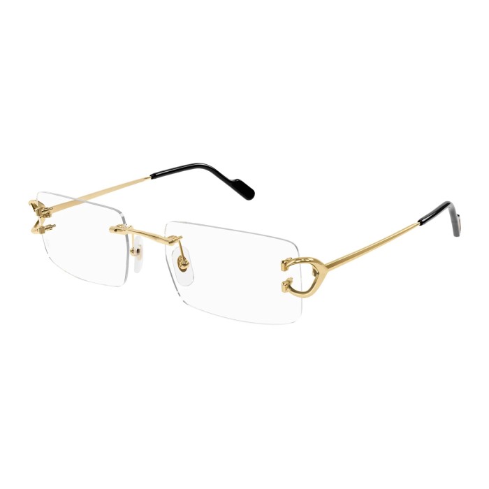 CARTIER CT0488O 001 | Monturas | Vytria Eyewear