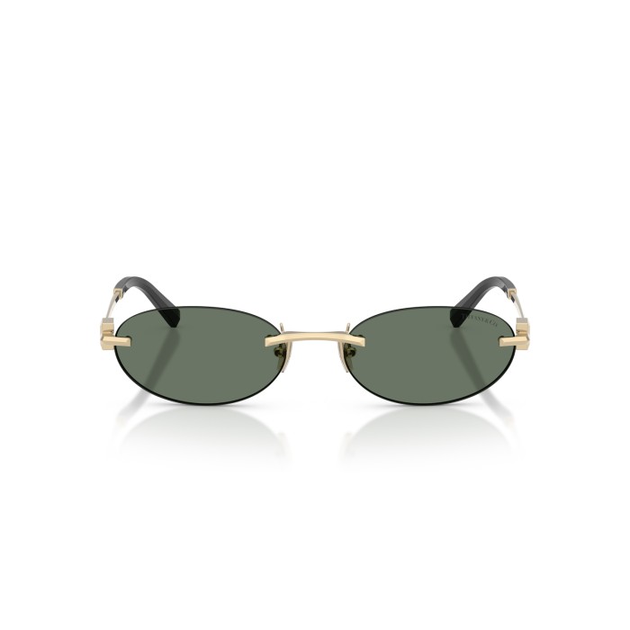 TIFFANY & CO. TF3119D 623882