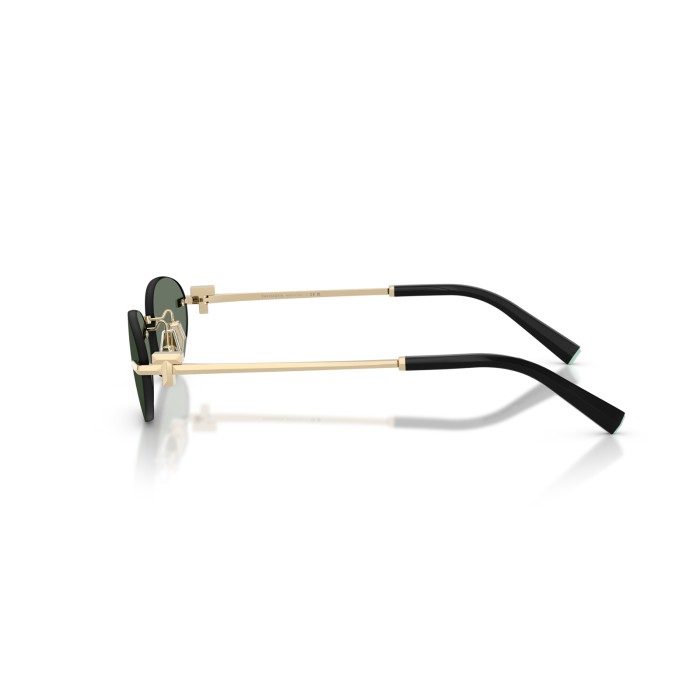 TIFFANY & CO. TF3119D 623882