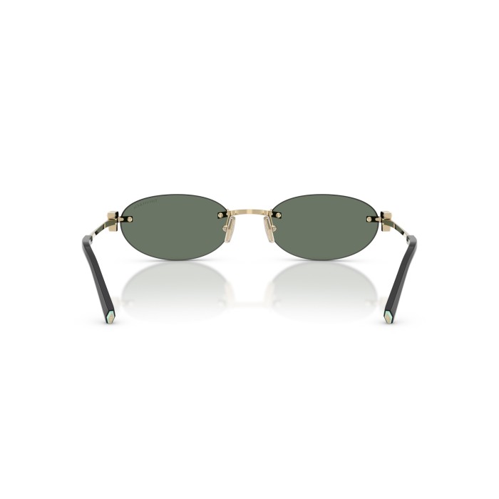 TIFFANY & CO. TF3119D 623882