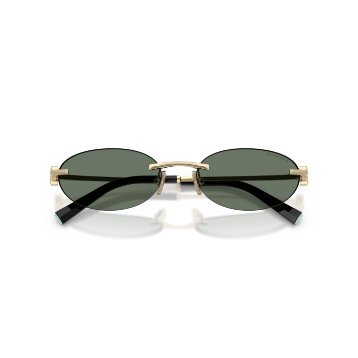 TIFFANY & CO. TF3119D 623882
