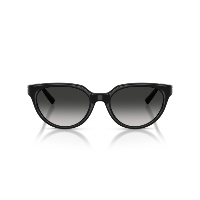 TIFFANY & CO. TF4256D 80013C