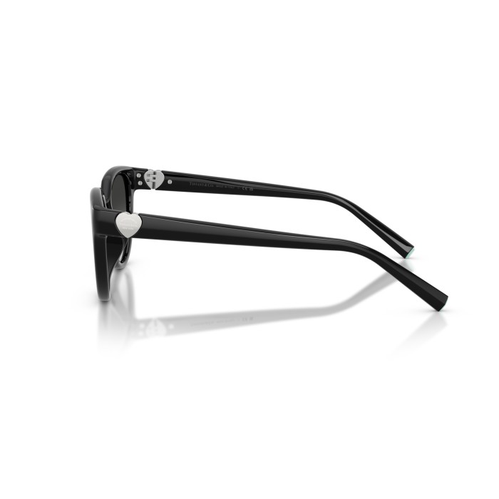 TIFFANY & CO. TF4256D 80013C