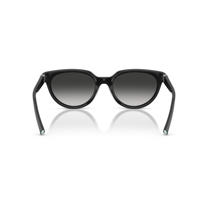 TIFFANY & CO. TF4256D 80013C