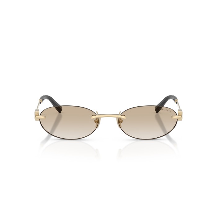 TIFFANY & CO. TF3119D 623911