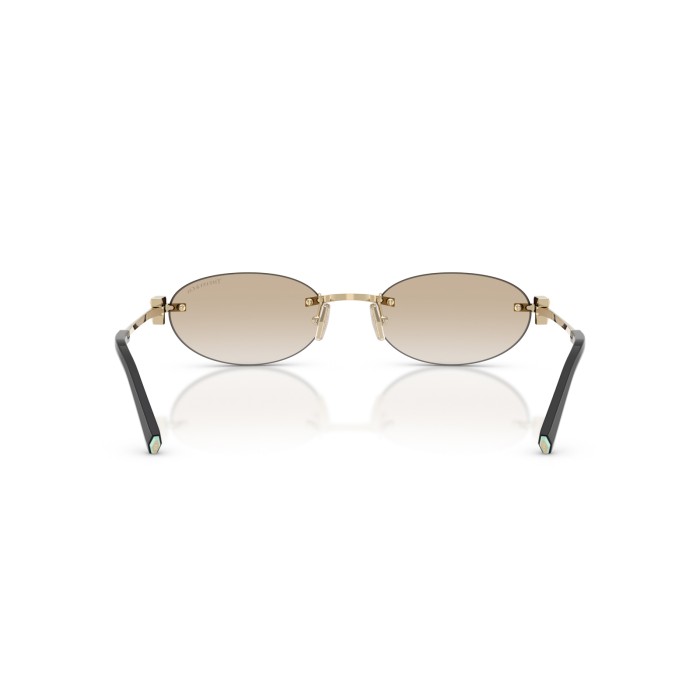 TIFFANY & CO. TF3119D 623911