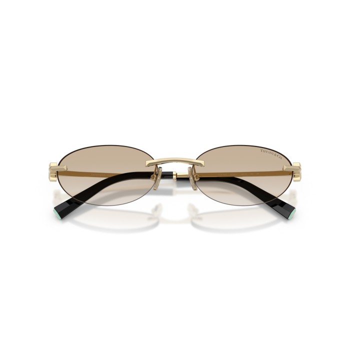 TIFFANY & CO. TF3119D 623911