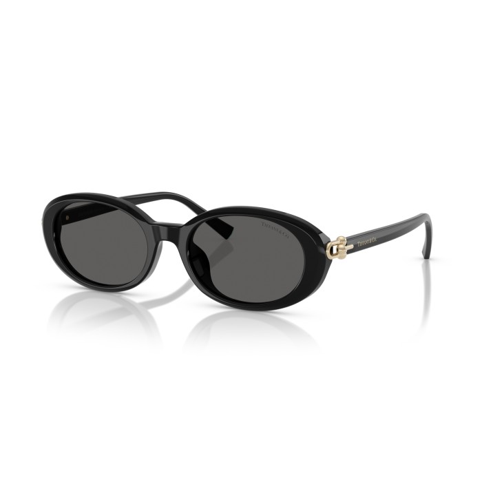 TIFFANY & CO. TF4242D 8361S4