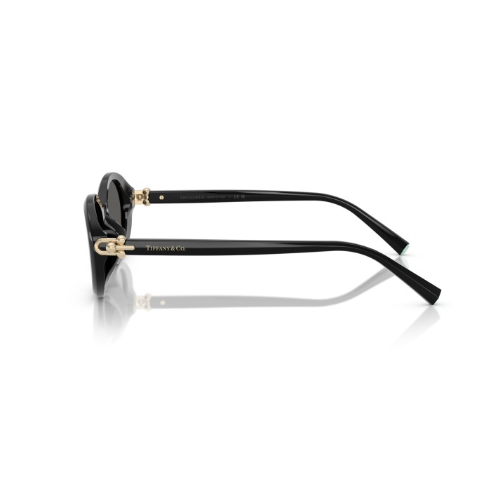 TIFFANY & CO. TF4242D 8361S4