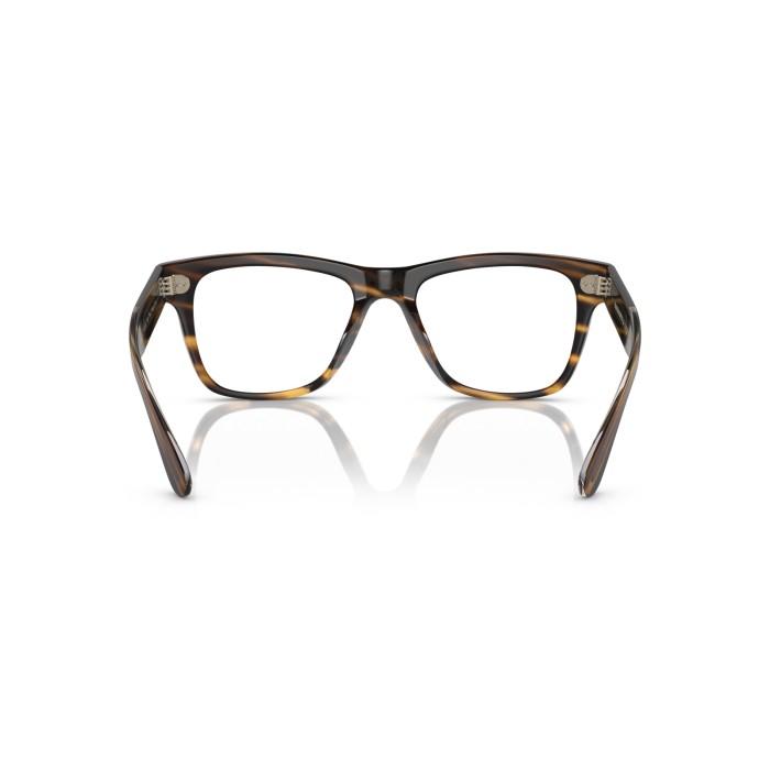 Oliver Optical OV5393U 1003