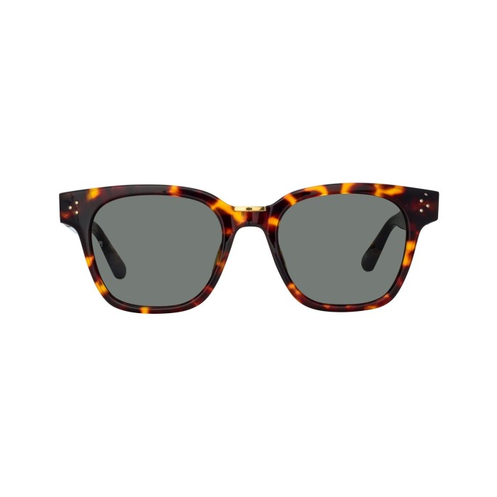 Sanchez LFL1481 C5