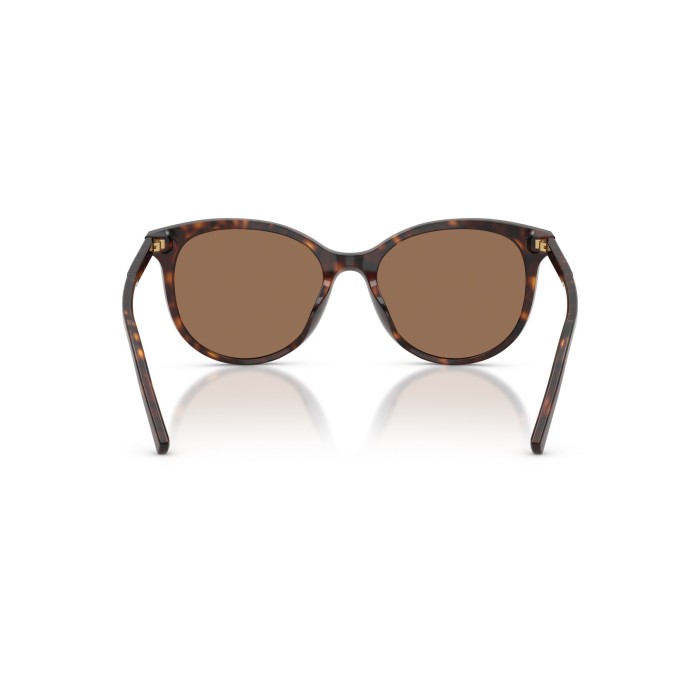 DOLCE GABBANA DG4540 50213