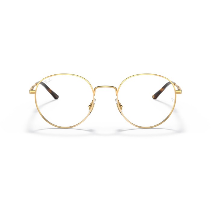 RAY BAN RB3681V 2500