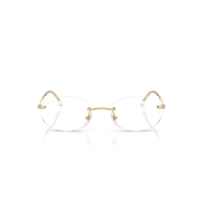 RAY BAN RB3767V 2500