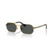 VERSACE VE2297 100287