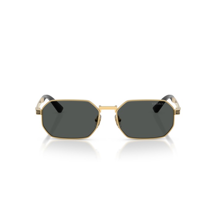 VERSACE VE2297 100287