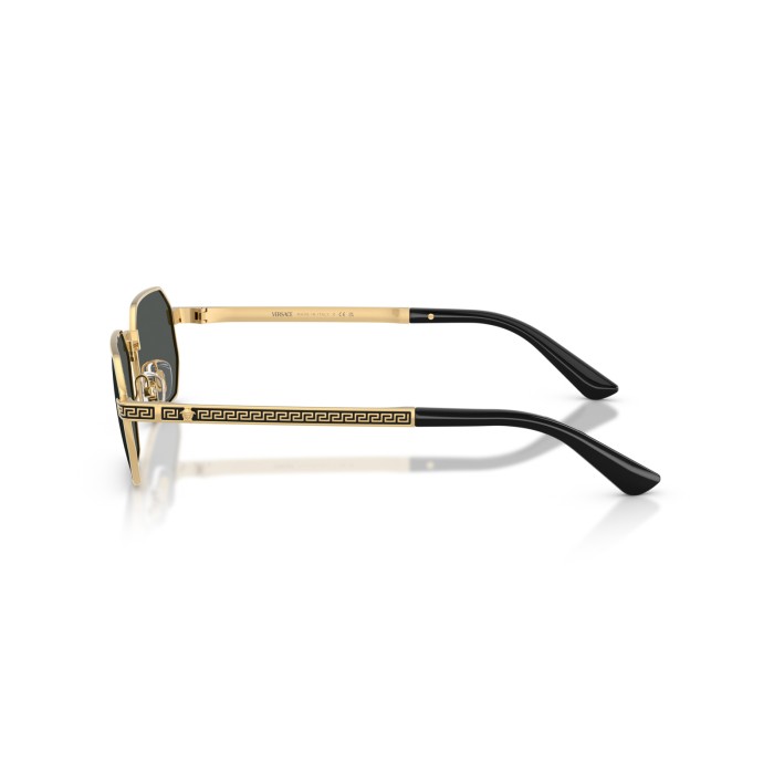 VERSACE VE2297 100287