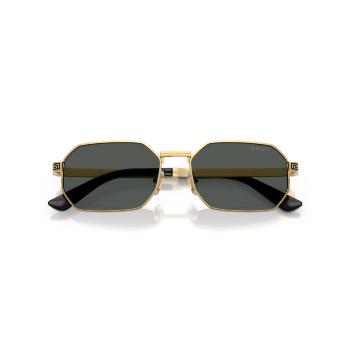 VERSACE VE2297 100287