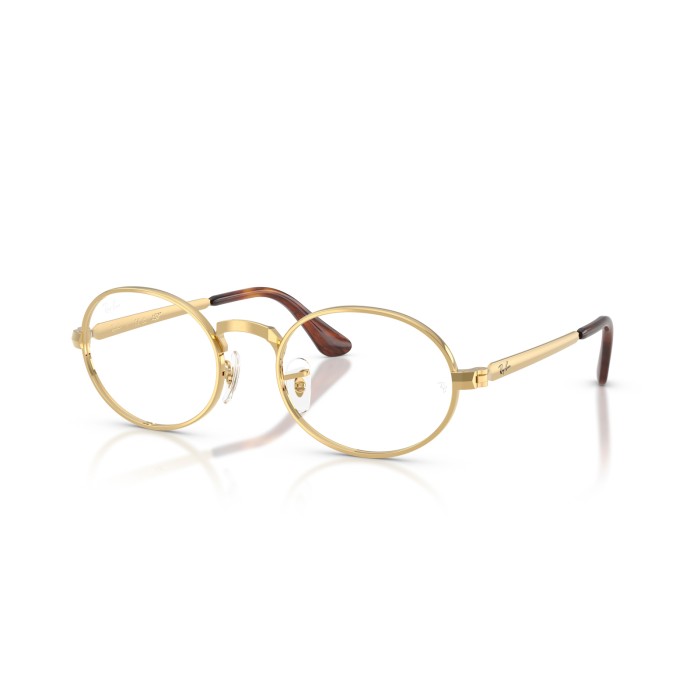 RAY BAN RB3931V 2500 | Eyeglasses | Vytria Eyewear
