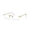 RAY BAN RB3928V 2500