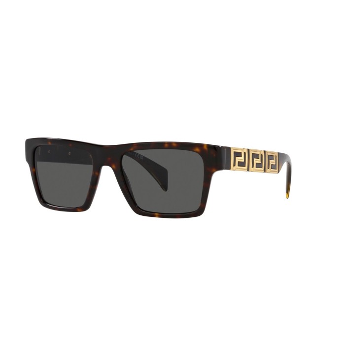 Versace Sunglasses VE4445 1088 Havana