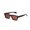 Peter and May S136 Eclaireur Sun Dark Shell