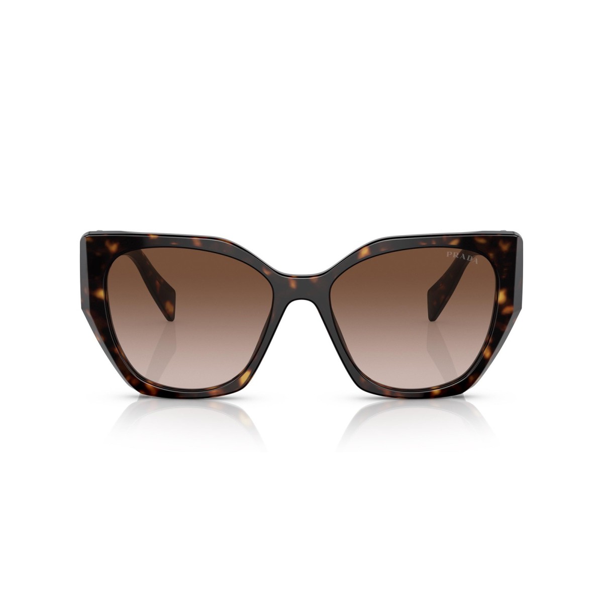 Prada PR 19ZS 2AU6S1 | Gafas Sol Cat-Eye | Vytria Eyewear