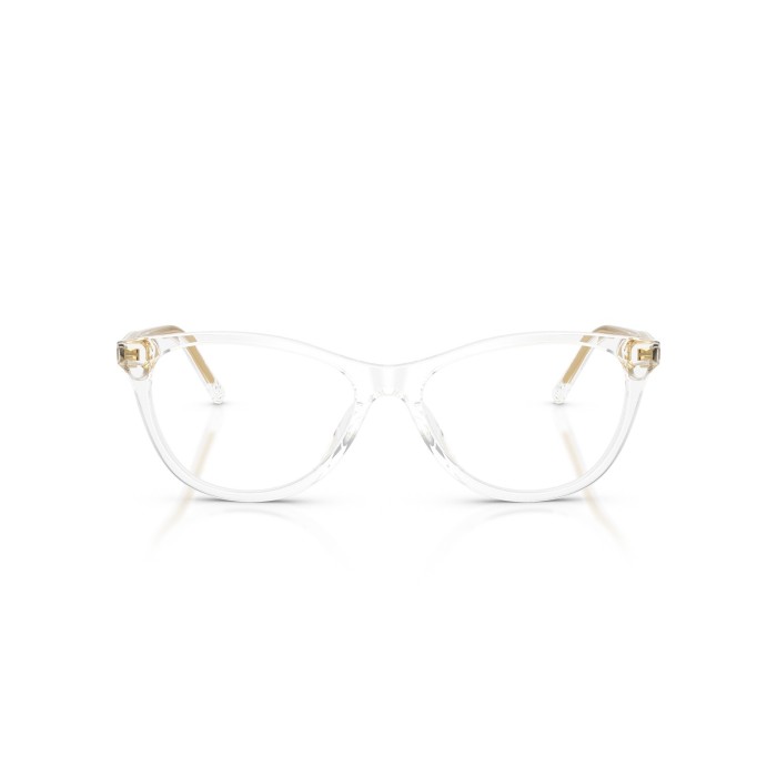 DOLCE GABBANA DG3443 3133