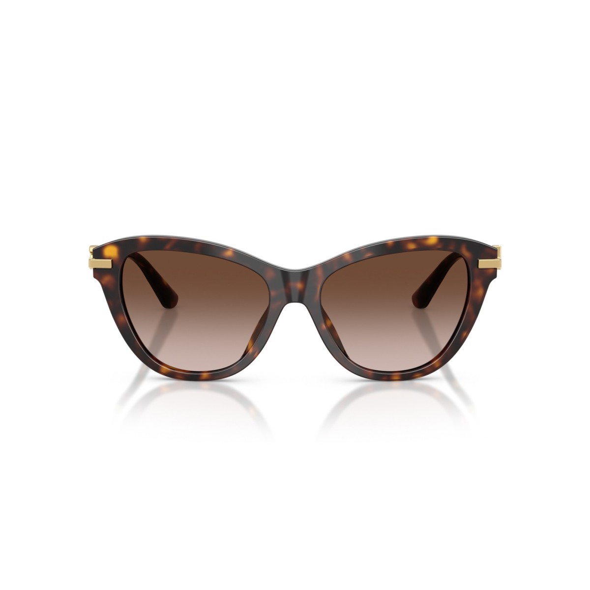 DOLCE GABBANA DG4534 50213 | Sunglasses | Vytria Eyewear